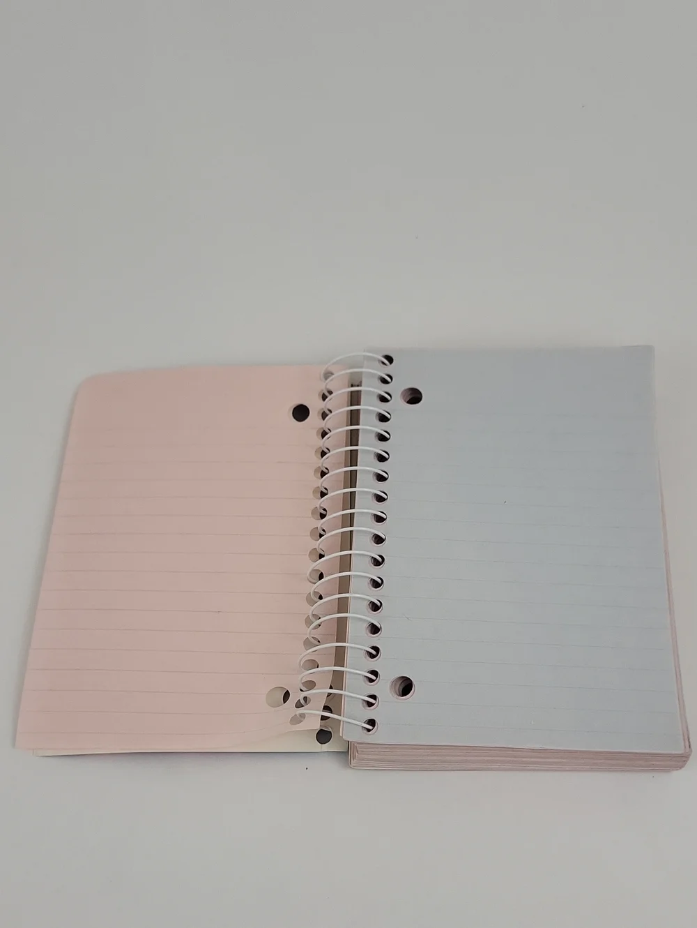 Vtg Lisa Frank Big Little Notebook Spiral